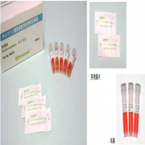 甲醛熏蒸生物指示剂H6307